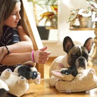 Corimori Süße Plüsch-Hausschuhe (10+ Designs) Frenchie „Zorro“ Slipper Einheitsgröße 25-33.5 Unisex Pantoffeln Beige Schwarz